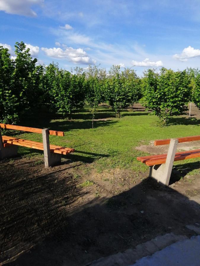 Apartament Apartman Fiva Pacir Zewnętrze zdjęcie